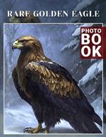 Rare Golden Eagle Photo Book: Explore Majestic Golden Eagle Personalities With 40 Stunning Images From Nature