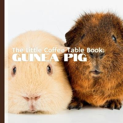 The Little Coffee Table Book: Guinea Pig: Whether you're a guinea pig owner, enthusiast, or simply curious about these adorable animals, this book offers something for everyone. - Mehco Design - cover