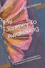 My Journey To Awakening: A novice non-medical guide to an Ibogaine Treatment Therapy