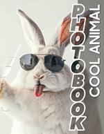 Cool Animal Photo Book: Explore 40 Amazing Images Featuring Unique Creatures From Around The Globe