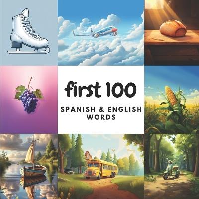 First 100 Spanish & English Words - Aisling Heidary,Ali Heidary - cover