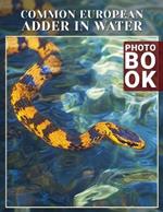 Common European Adder In Water Photo Book: Explore 40 Stunning Images Of Europe's Snakes In Their Natural Aquatic Habitat
