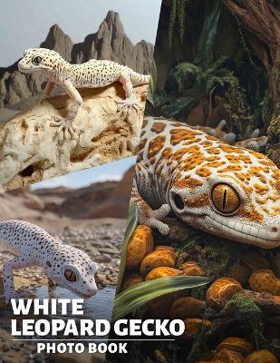 White Leopard Gecko Photo Book: Explore 40 Stunning Images Of Unique Reptiles For Pet Lovers And Enthusiasts - Lottie Stokes - cover