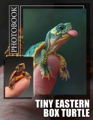 Tiny Eastern Box Turtle Photo Book: Explore 40 Stunning Images Celebrating The Life And Habitat Of A Unique Species - Amaan Harris - cover