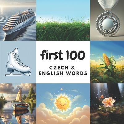 First 100 Czech & English Words - Aisling Heidary,Ali Heidary - cover