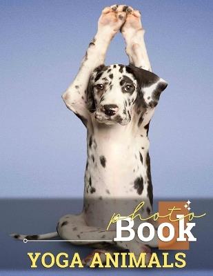 Yoga Animals Photo Book: 40 Inspiring Images Of Pets And Wildlife In Yoga Poses For Mindfulness - Orlando Gregory - cover