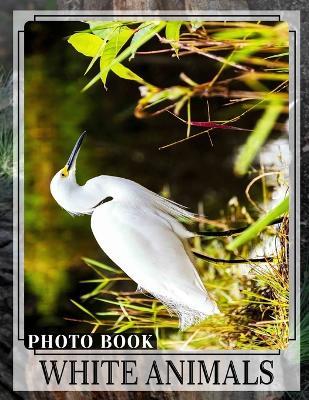 White Animals Photo Book: Collection Of 40 Stunning Images Featuring Incredible Creatures In White Fur And Feathers - Aaliyah Richard - cover