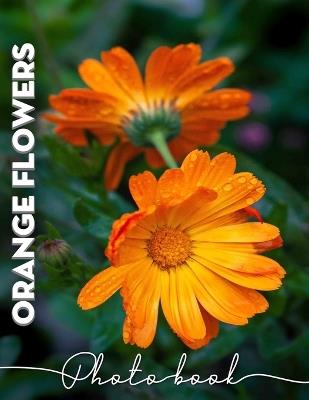 Orange Flowers Photo Book: Delightful Collection Featuring 40 Stunning Images Of Vibrant Floral Blooms - Sumaya Pennington - cover
