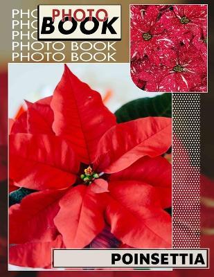 Poinsettia Photo Book: Beautiful Floral Imagery Featuring 40 Stunning Poinsettia Designs For Unique Gifts - Lina Stafford - cover