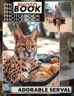 Adorable Serval Photo Book: Stunning Collection Featuring 40 Unique Images Of The Playful African Cat