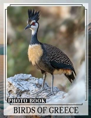 Birds of Greece Photo Book: Explore 40 Stunning Images Of Greece's Unique Avian Wildlife For Enthusiasts - Nikolas Stanley - cover