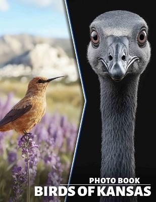 Birds of Kansas Photo Book: Explore 40 Stunning Images Showcasing Kansas' Avian Wildlife For Enthusiasts And Nature Lovers - Richard Collins - cover