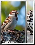 Birds of New Jersey Photo Book: Explore 40 Stunning Images Showcasing New Jersey's Feathered Marvels For Nature Lovers