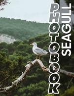 Seagull Photo Book: Explore Coastal Beauty With 40 Stunning Images Capturing Seagulls In Their Habitat