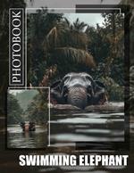 Swimming Elephant Photo Book: Captivating Images Showcasing Elephants Enjoying Water Fun Through Stunning Visuals