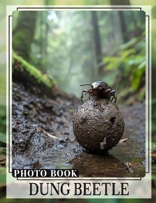 Dung Beetle Photo Book: Explore 40 Fascinating Images Of Nature's Cleanup Crew For Enthusiasts And Students - Wiktor Hale - cover