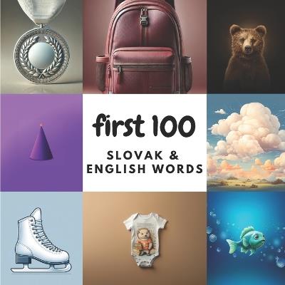 First 100 Slovak & English Words - Aisling Heidary,Ali Heidary - cover