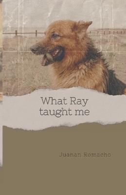 What Ray taught me - Juanan Romacho - cover