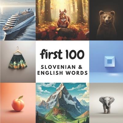 First 100 Slovenian & English Words - Aisling Heidary,Ali Heidary - cover