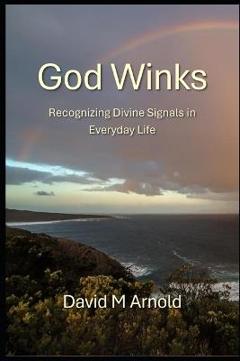 God Winks: Recognizing Divine Signals in Everyday Life - David M Arnold - cover