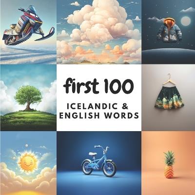 First 100 Icelandic & English Words - Aisling Heidary,Ali Heidary - cover