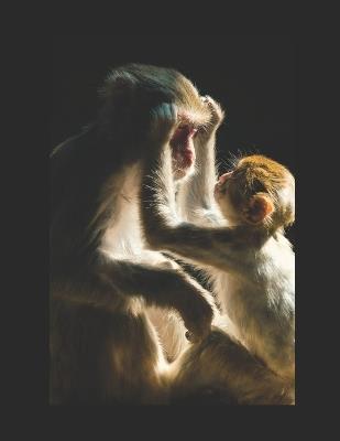 Me and My Monkey: A Guide to Primate Companionship - Tj Allen - cover