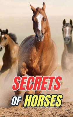 Secrets of Horses: Discover the Mysteries and Wonders of the Equine World - VC Brothers - cover