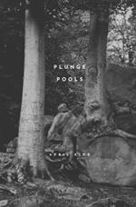 Plunge Pools