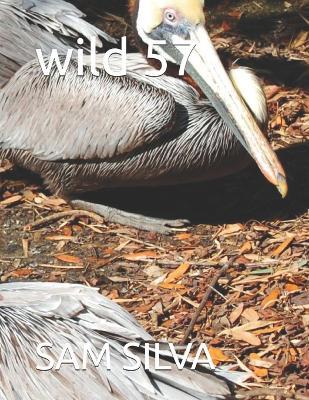 wild 57 - Sam Silva - cover