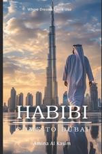 Habibi come to Dubai: A comprehensive guide to moving to dubai from the US, visas, jobs, lifestyle and more.