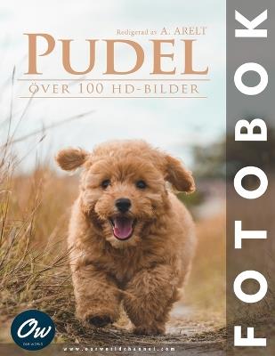 Pudel: Fotobok - A Arelt,Our World - cover