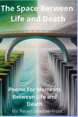 The Space Between Life and Death: Poems for Moments Between Life and Death - Raven Shadow-Frost - cover