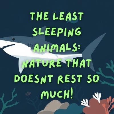 The Least Sleeping Animals: Nature that doesn't rest so much! - Quincy Republic - cover