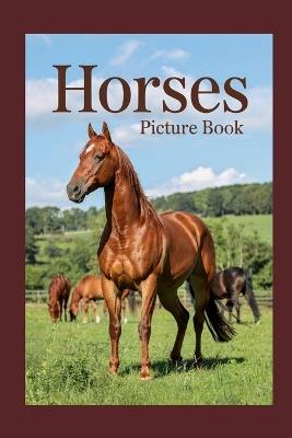 Horses Picture Book - Felix Starling - cover