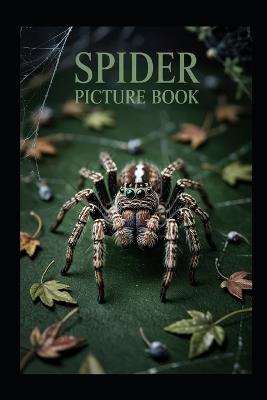 Spiders Picture Book - Felix Starling - cover