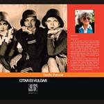 CITAR ES VULGAR