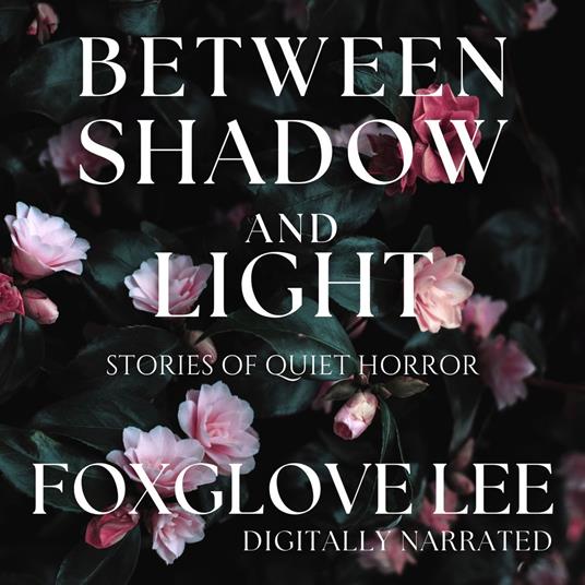 Between Shadow and Light