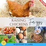 Raising Chickens for Eggs: