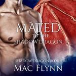 Mated to the Shadow Dragon: Shadow Dragon Book 2 (Dragon Shifter Romance)