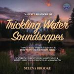 Nature's Rhapsody of Trickling Water Soundscapes Mixed with Ambient Tones for Deep Meditation & Stress Relief