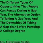 Different Types Of Opportunities That People Can Pursue During A Gap Year, The Alternative Option To Taking A Gap Year, And The Downsides Of Taking A Gap Year Before Pursuing A College Degree, The