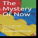 Mystery Of Now, The