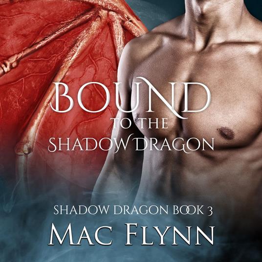 Bound to the Shadow Dragon: Shadow Dragon Book 3 (Dragon Shifter Romance)