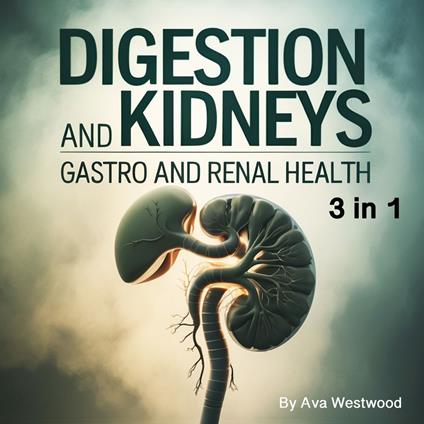 Digestion and Kidneys