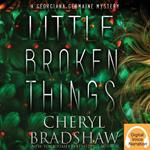 Little Broken Things - Édition française