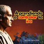 Aprendiendo a controlar la IRA