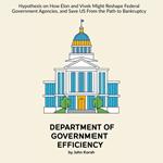 Department of Government Efficiency