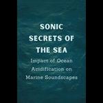 Sonic Secrets of the Sea: Impact of Ocean Acidification on Marine Soundscapes