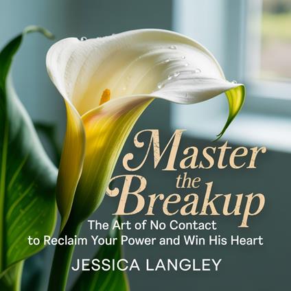 Master the Breakup