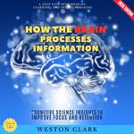 How the Brain Processes Information: